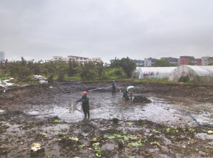 方城河道鱼塘清淤